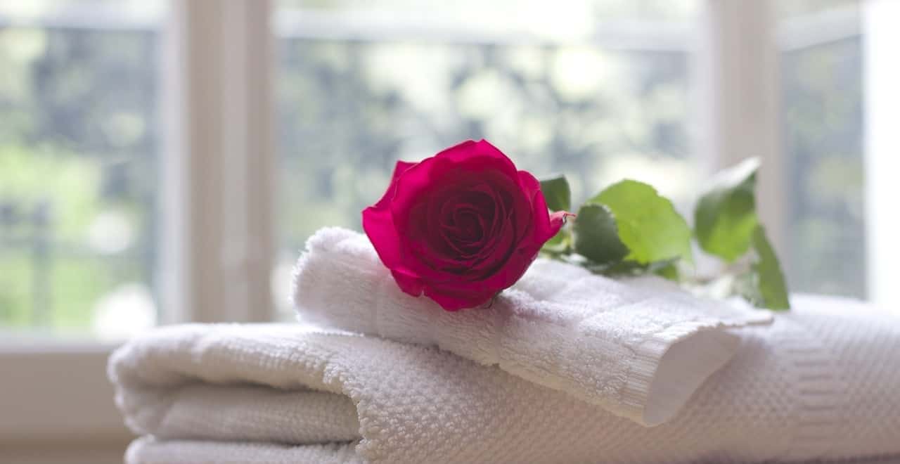 hospitality industry