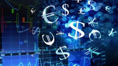 FOREX TRADE FOR BEGINNERS | HOW DOES IT WORKS?