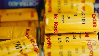 Robert De Niro: Exploring the Enduring Legacy of a Hollywood Icon image