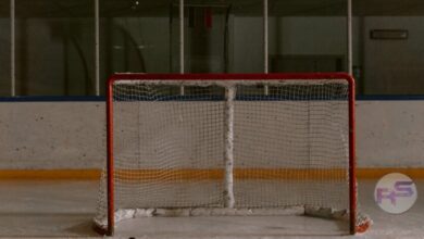 Dallas Stars: A Glimpse into the Team's Trajectory and Fan Expectations image