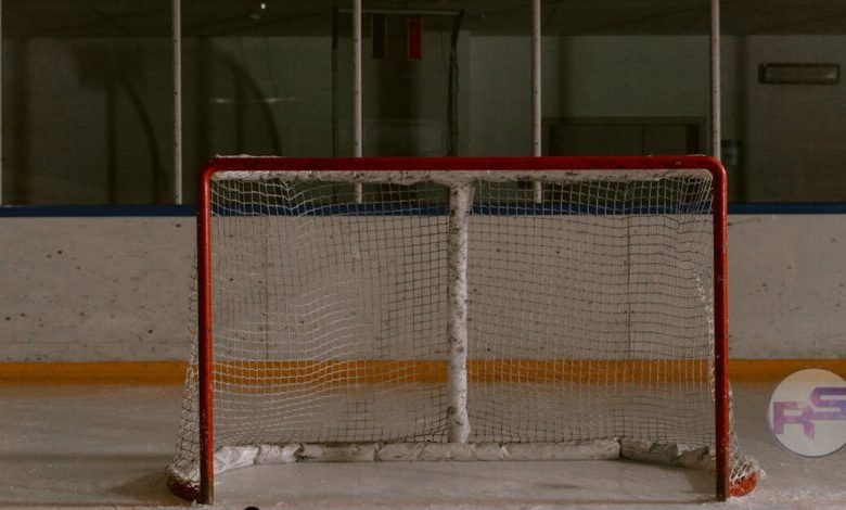 Dallas Stars: A Glimpse into the Team's Trajectory and Fan Expectations image