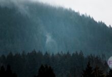 Discover the Enchanting Beauty of the San Juan Islands: Your Essential Guide image