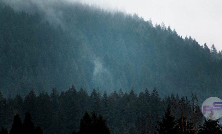 Discover the Enchanting Beauty of the San Juan Islands: Your Essential Guide image