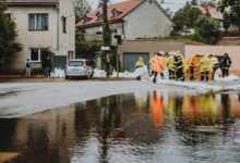 High Wind Warning: Essential Safety Tips and What to Expect image