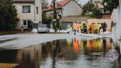 High Wind Warning: Essential Safety Tips and What to Expect image