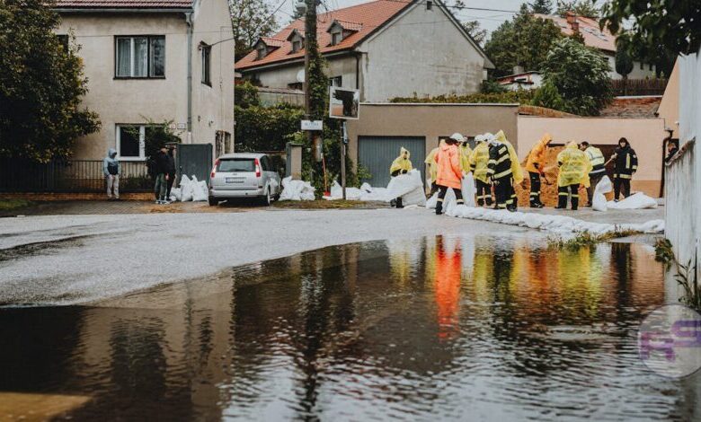 High Wind Warning: Essential Safety Tips and What to Expect image