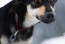 School Closings and Delays: Your February 25, 2026 Update image