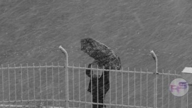 Winter Storm Forecast: Analyzing Potential Impacts for Early February 2026 image