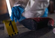 NCIS: Exploring the Enduring Legacy of a Global Television Phenomenon image